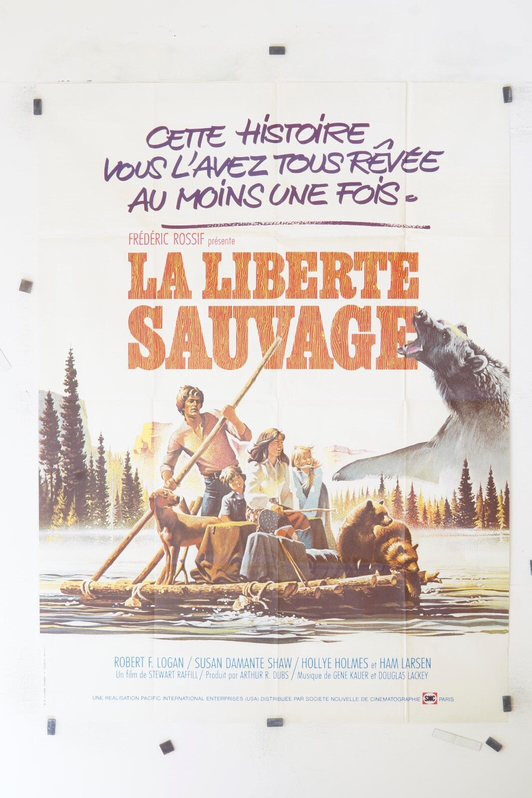 LA LIBERTÉ SAUVAGE ROBERT F. LOGAN ORIGINAL MOVIE POSTER 120x160