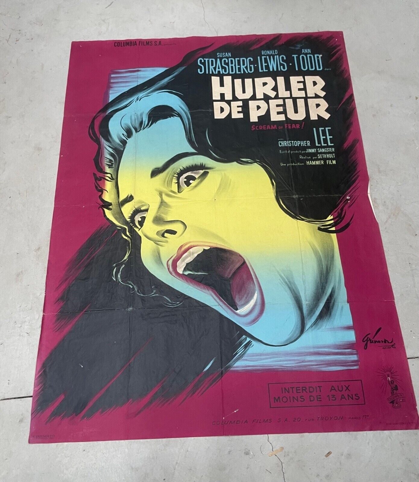 HURLER DE PEUR Original Movie Poster 120X160 SUSAN STASBERG