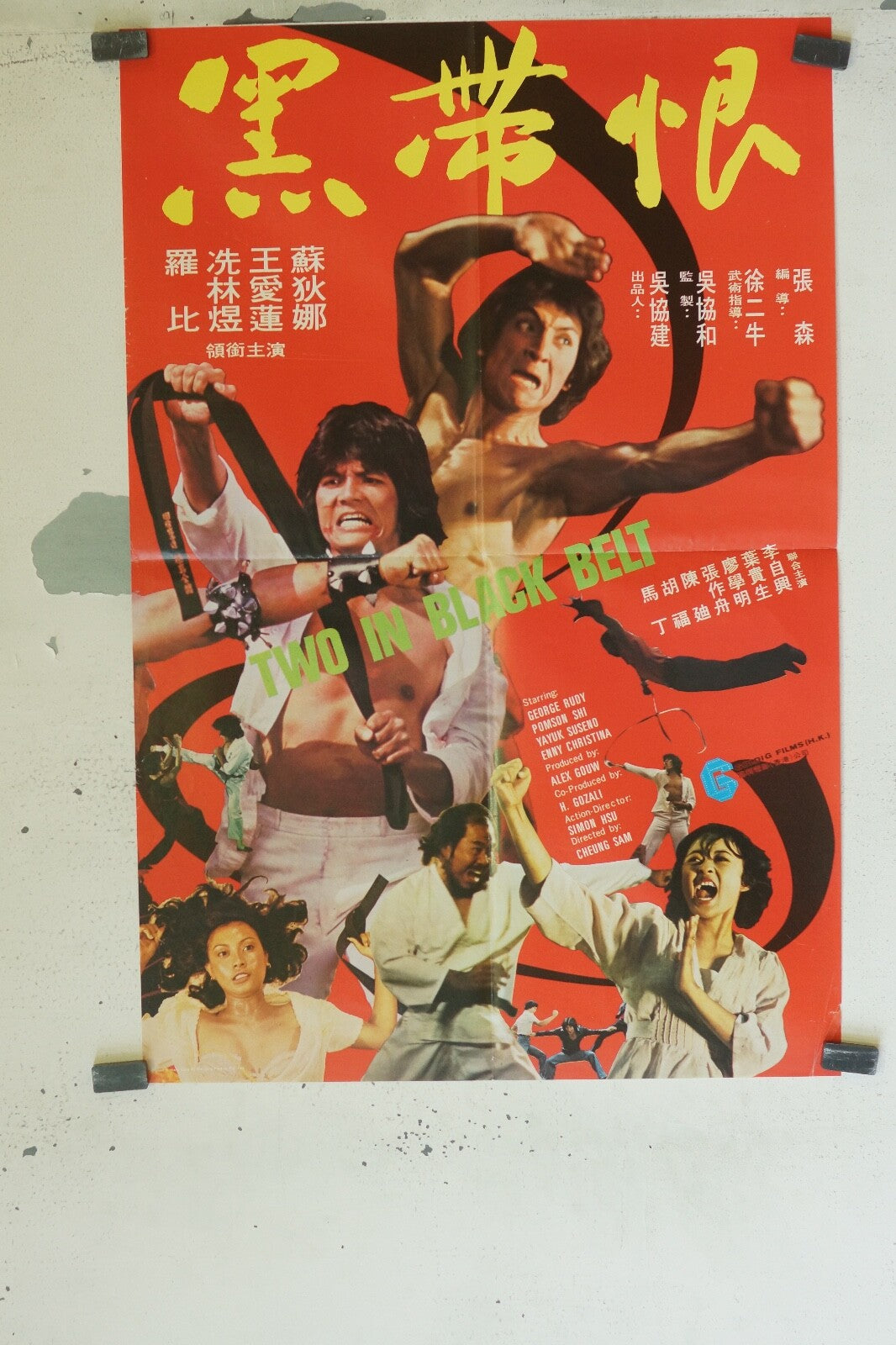 TWO IN BLACK BELT (60X80) ORIGINAL MOVIE POSTER