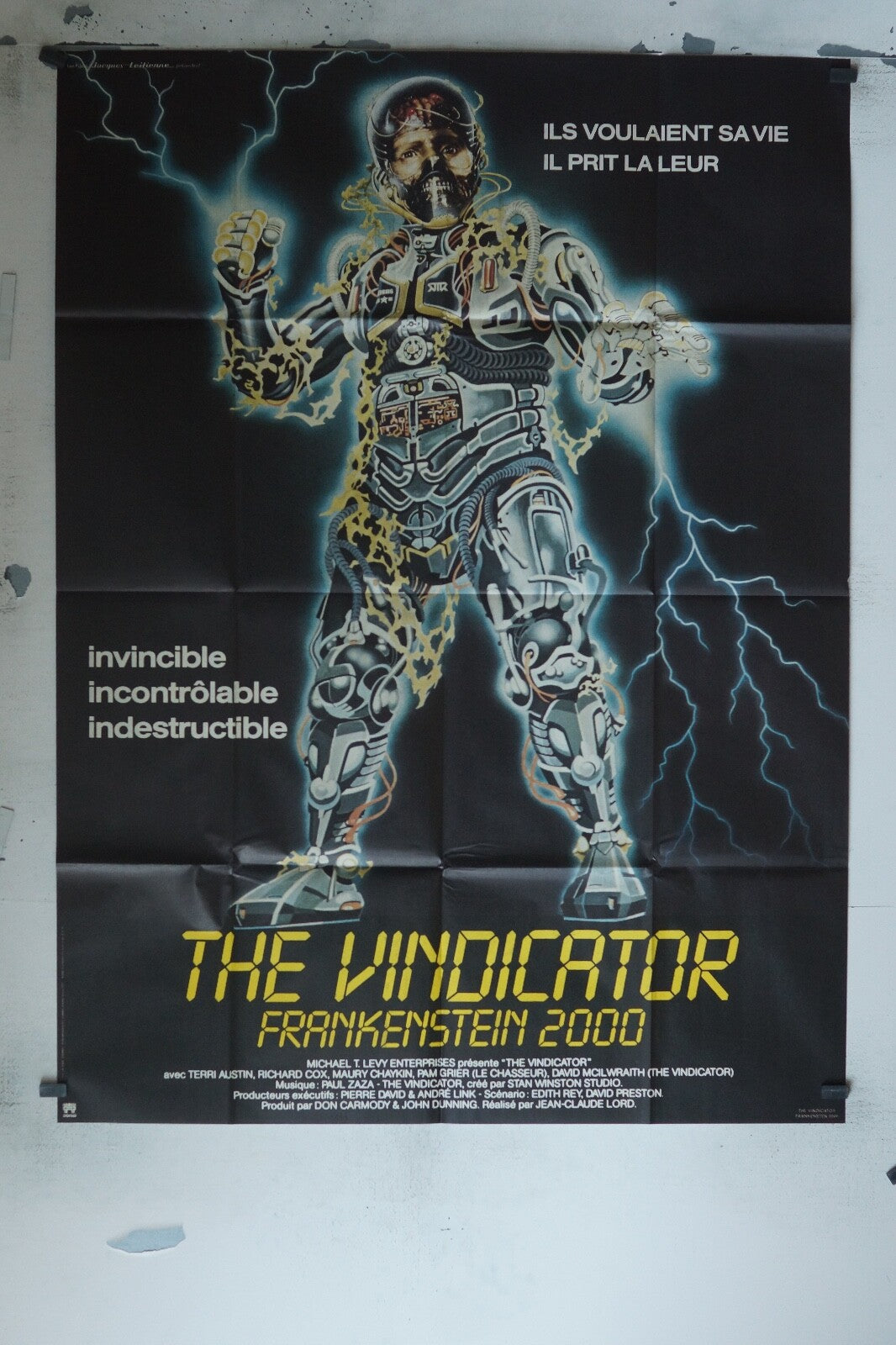 THE VINDICATOR MOVIE POSTER ORIGINAL 120x160 TERRI AUSTIN