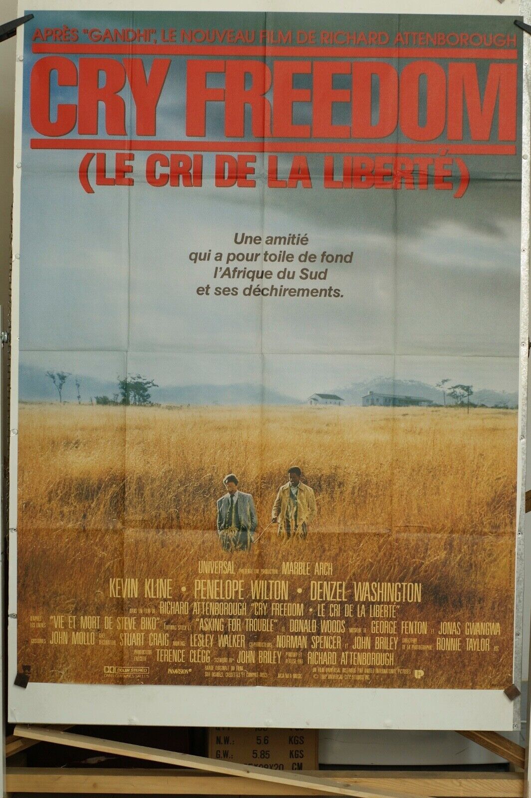 CRY FREEDOM Original Movie Poster 120X160 DENZEL WAHINGTON