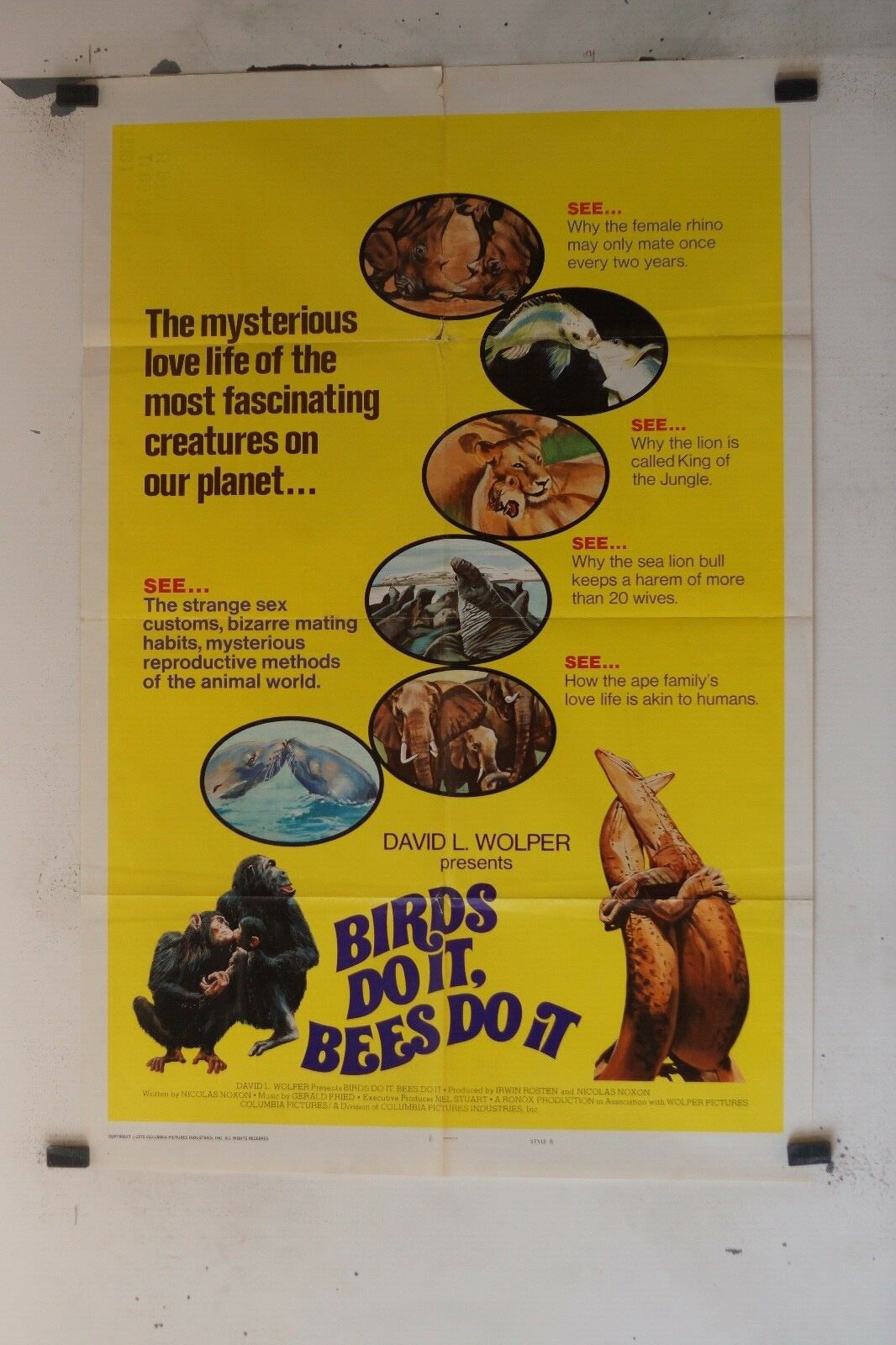 BIRDS DO IT BEES DO IT ORIGINAL 69x103