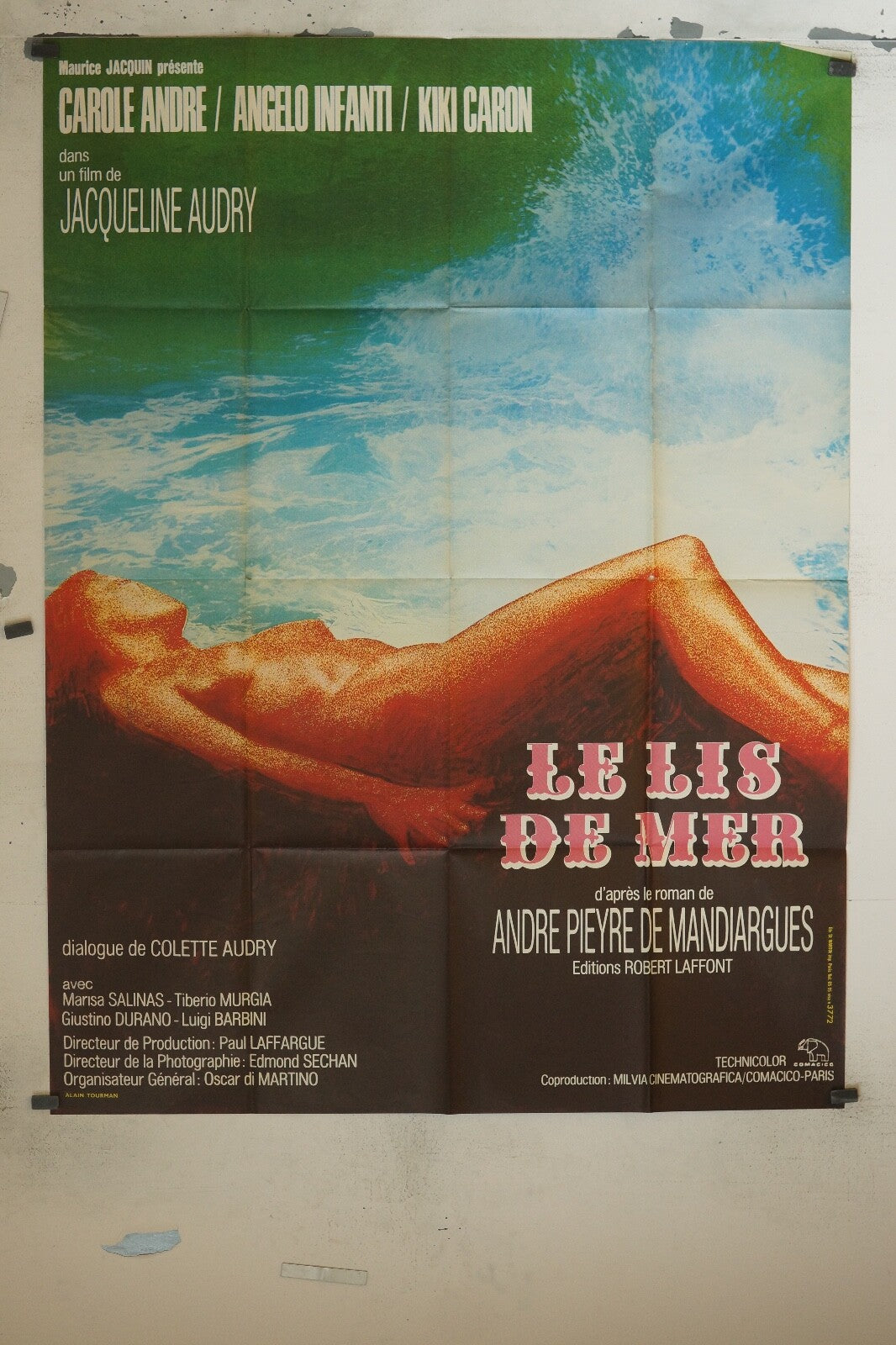 LE LIS DE MER MOVIE POSTER ORIGINAL 120x160 CAROLE ANDRE