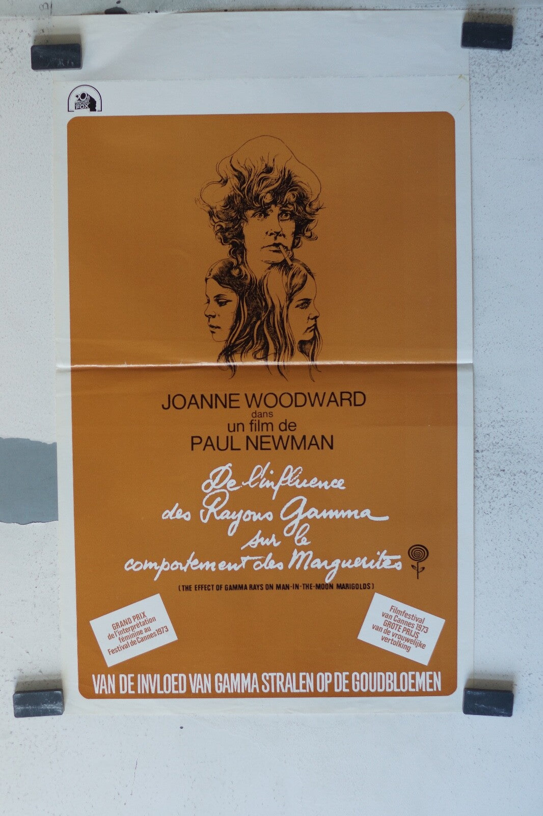 DE L’INFLUENCE DES RAYONS GAMMA SUR LE COMPORTEMENT ORIGINAL MOVIE POSTER 36x55