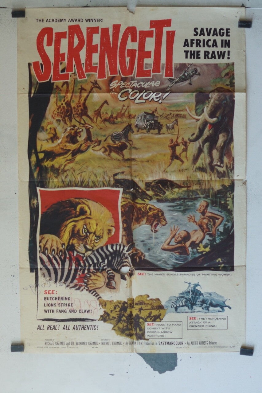 SERENGETI (SAVAGE AFRICA NIN THE RAW) ! ORIGINAL MOVIE POSTER 70x100