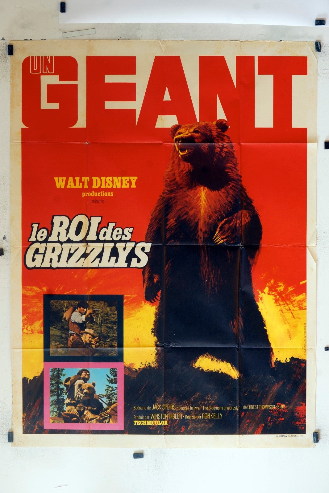 UN GÉANT, LE ROI DES GRIZZLYS WALT DISNEY MOVIE POSTER ORIGINAL 120x160