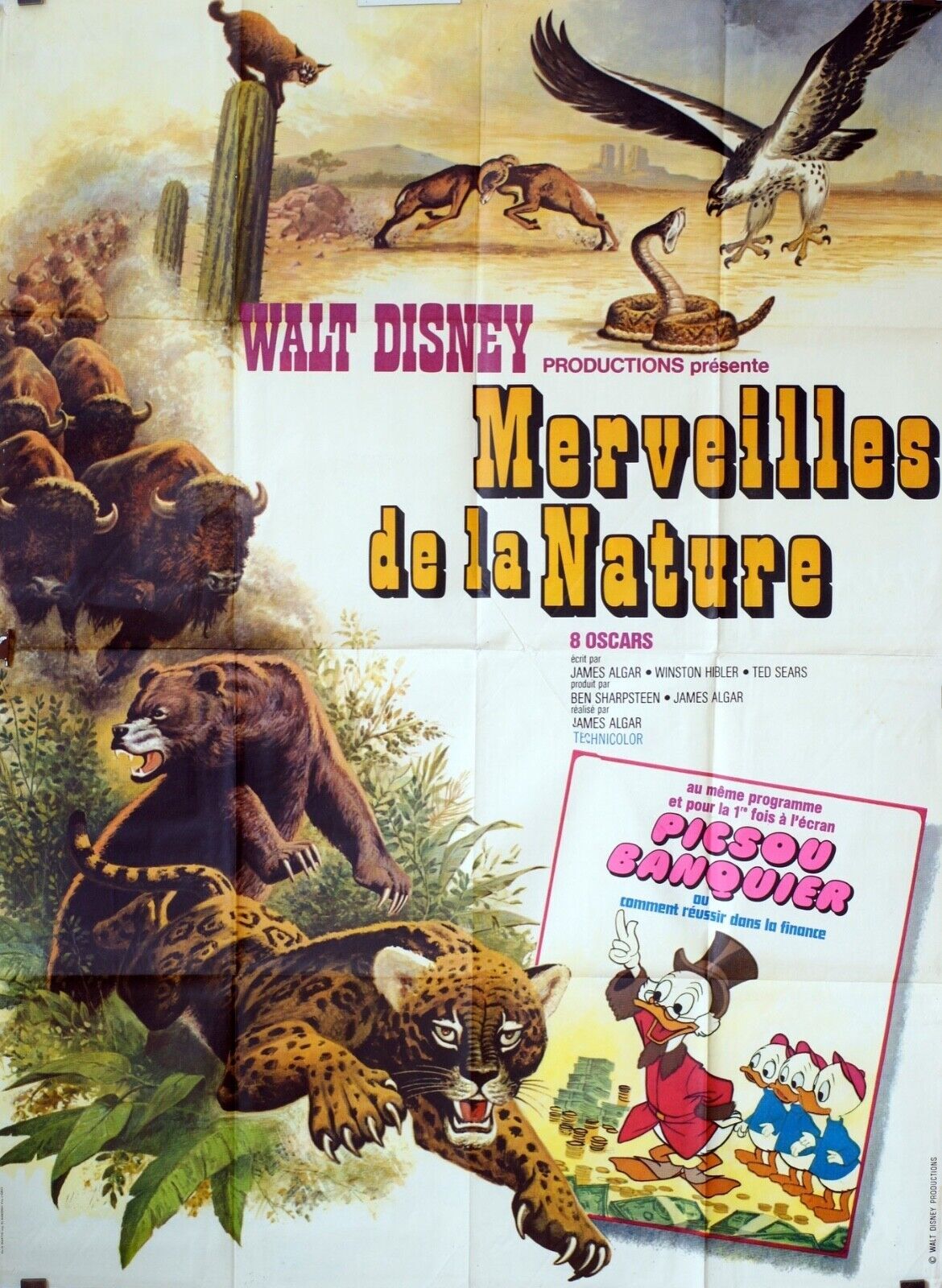 MERVEILLES DE LA NATURE MOVIE POSTER ORIGINAL 120x160 MICHEL SERRAULT