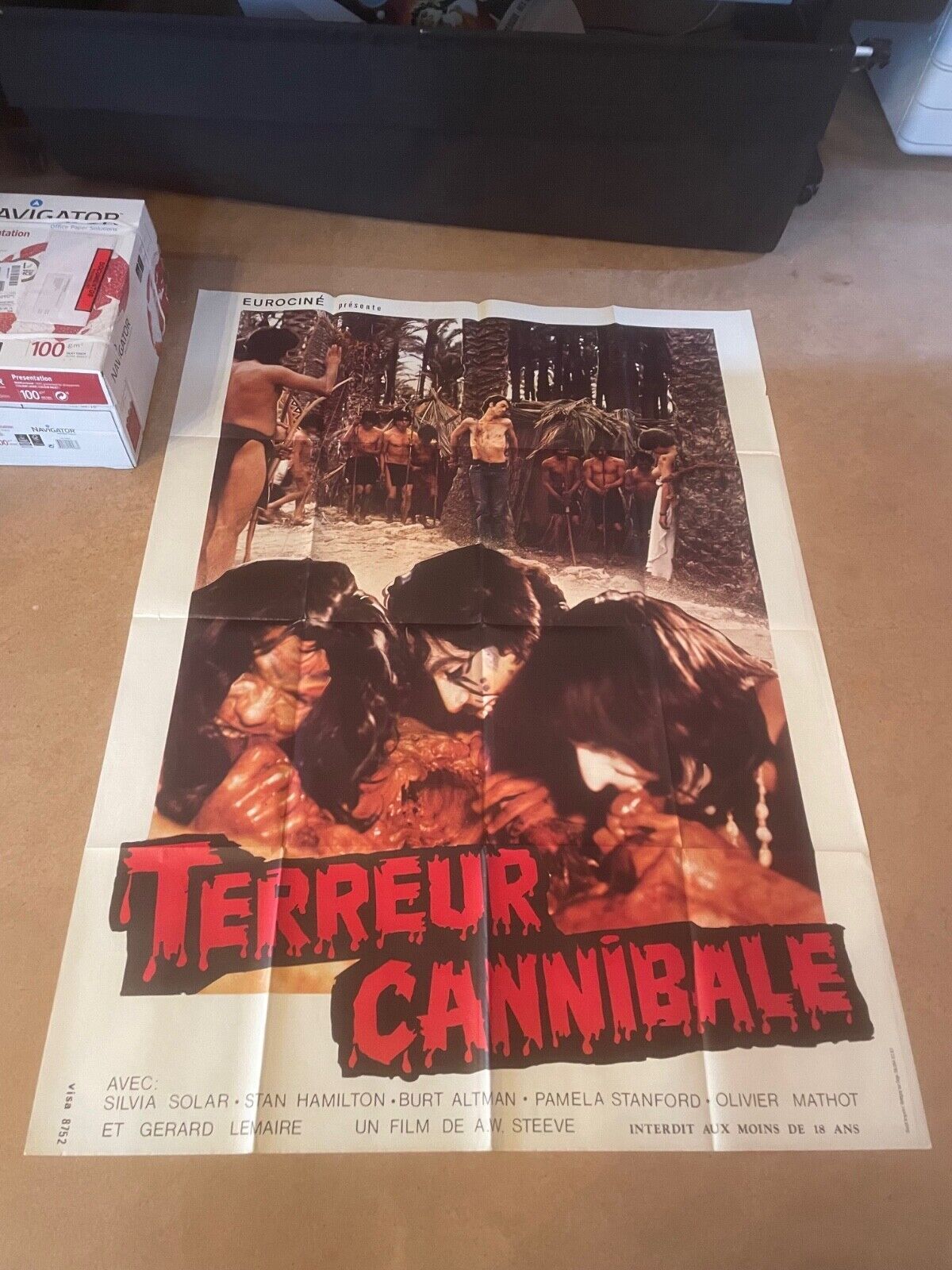TERREUR CANNIBALE MOVIE POSTER ORIGINAL 120x160 SILVIA SOLAR