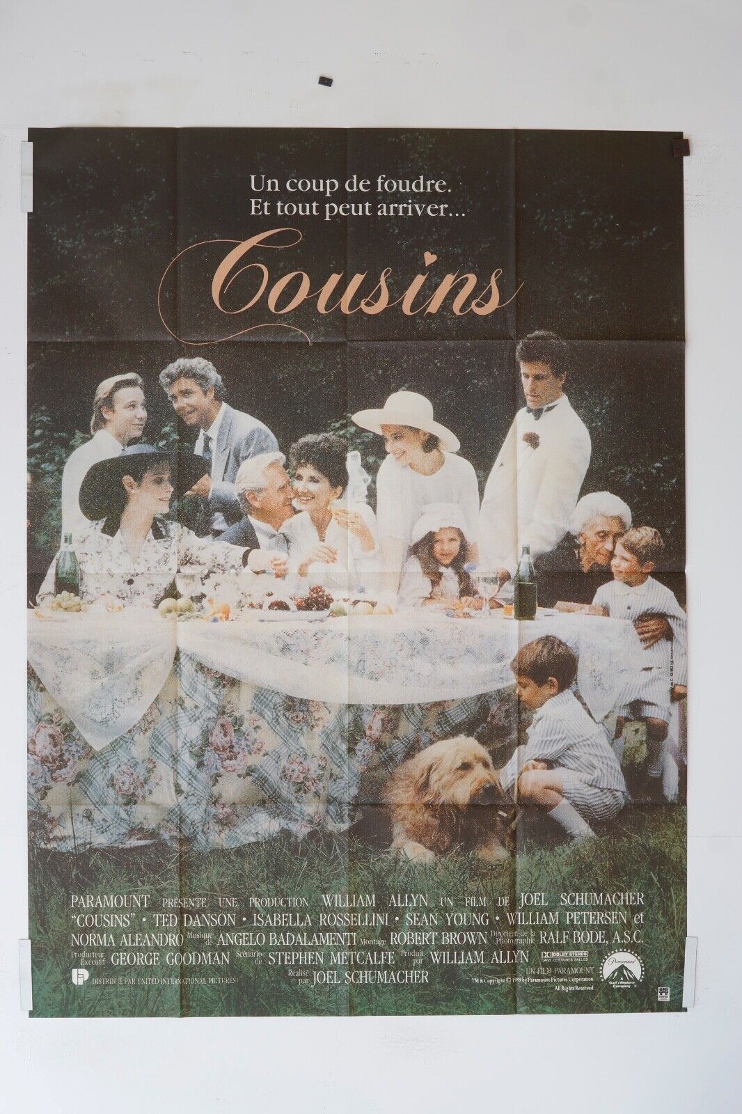 COUSINS movie poster ORIGINAL (120x160) TED DANSON