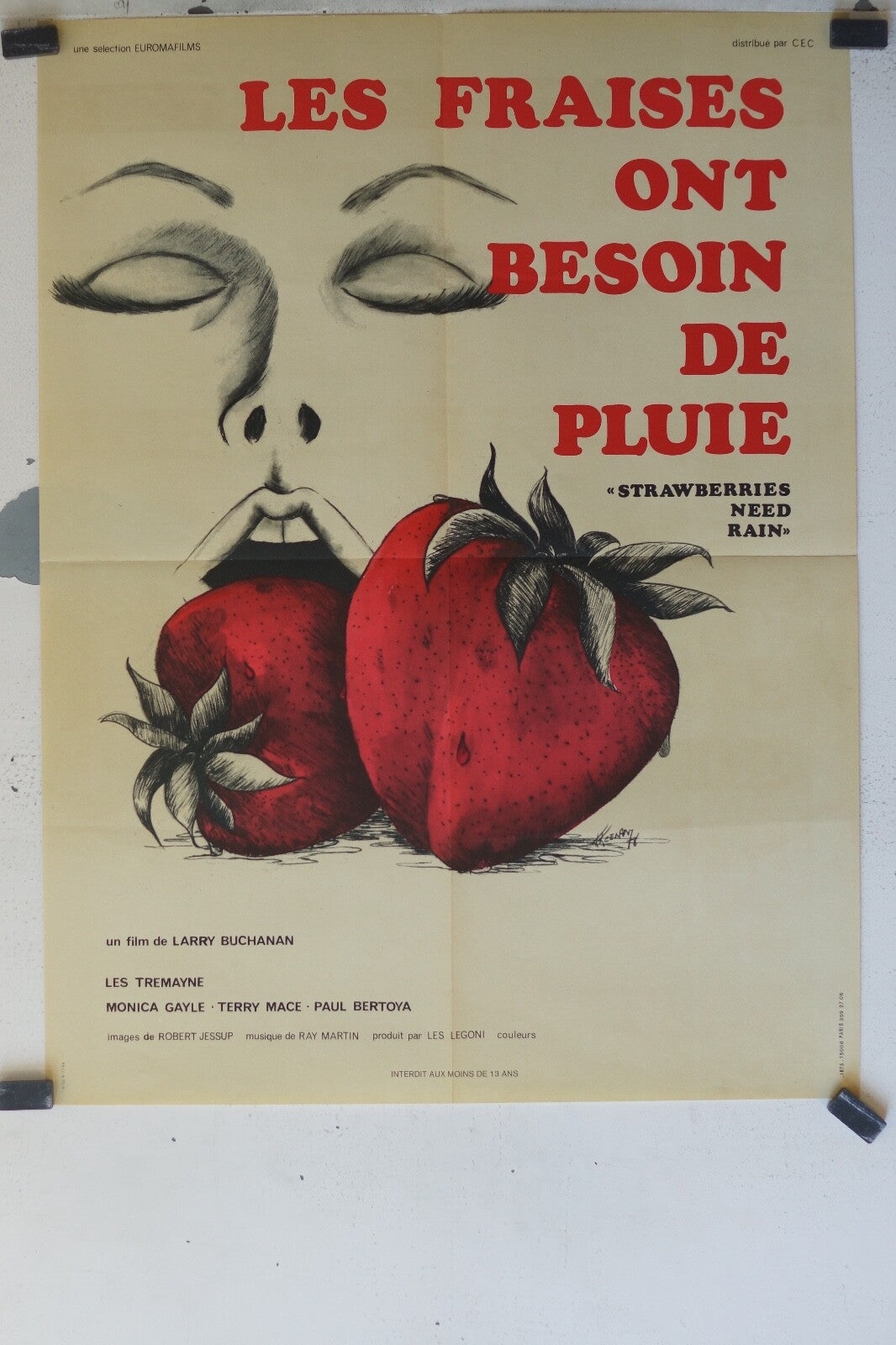FRAISES ONT BESOIN DE PLUIE (LES) movie poster ORIGINAL 60x80 Lee Tremayne