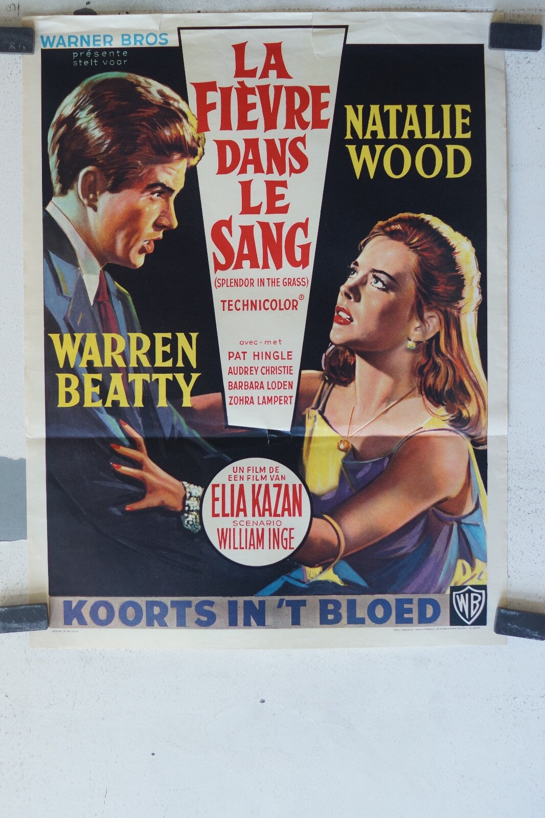 FIEVRE DANS LE SANG MOVIE POSTER ORIGINAL 49x37 Nathalie wood , Warren Beatty