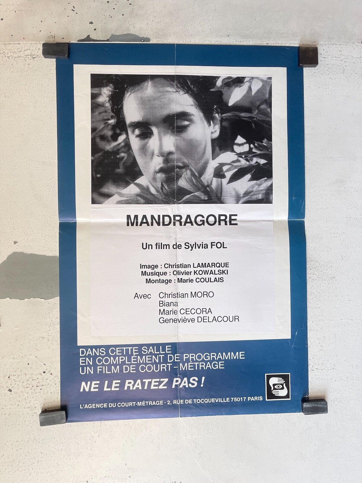 MANDRAGORE ORIGINAL 40X60 SYLVIA FOL