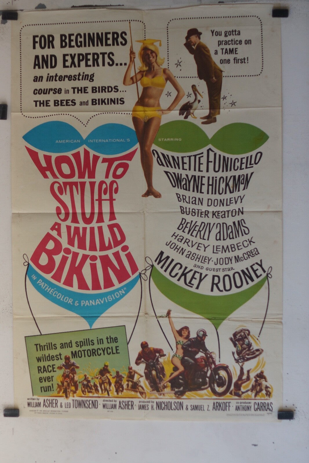 HOW TO STUFF A WILD BIKINI. 70x100 ORIGINAL MOVIE POSTER WILLIAM ASHER, LEO