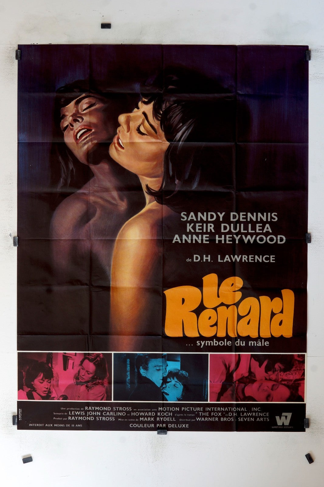 LE RENARD SANDY DENNIS MOVIE POSTER ORIGINAL (120x160)