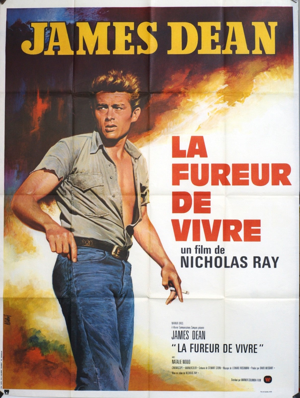 LA FUREUR DE VIVRE JAMES DEAN movie poster ORIGINAL 120x160