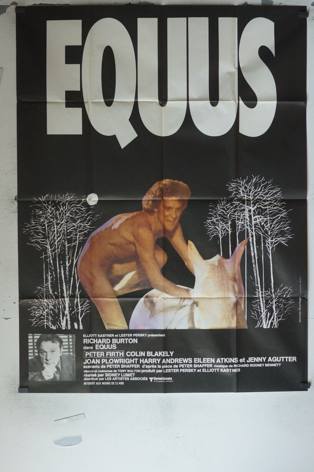 EQUUS ORIGINAL MOVIE POSTER 120X160 CYRIELLE CLAIRE