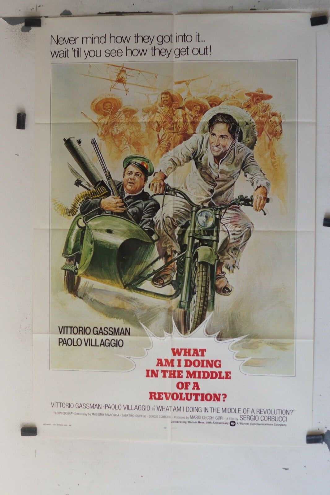 WHAT AM I DOING OF A REVOLUTION ? ORIGINAL 69x103