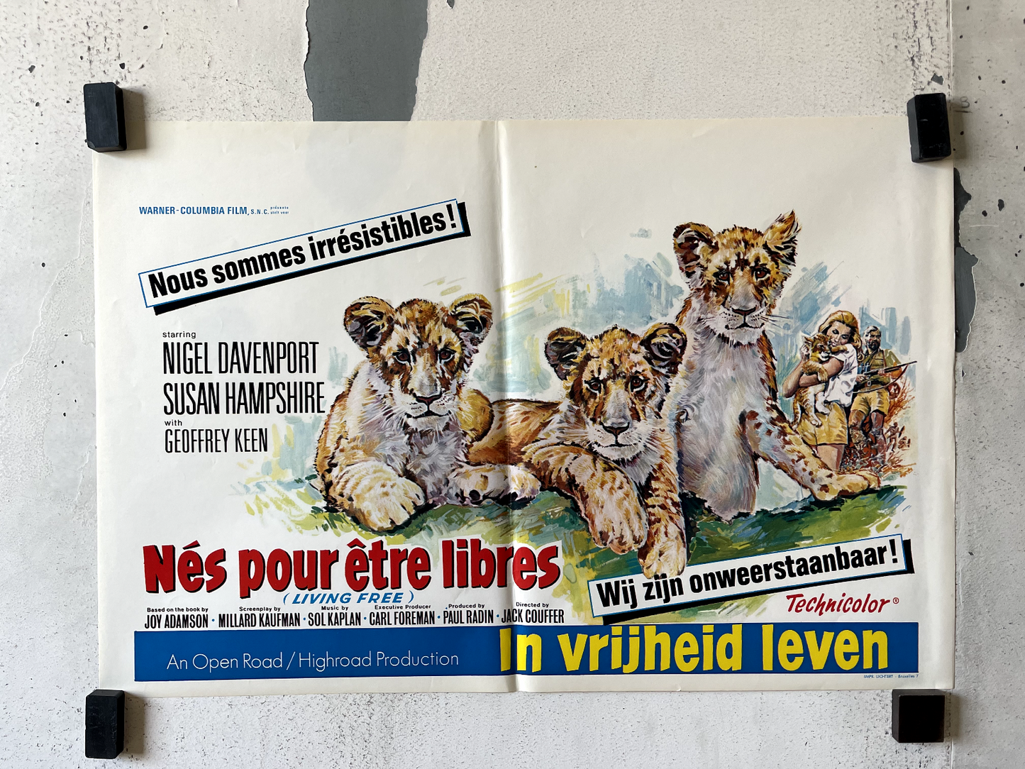 NÉS POUR ÊTRE LIBRES MOVIE POSTER ORIGINAL (55X37) NIGEL DAVENPORT