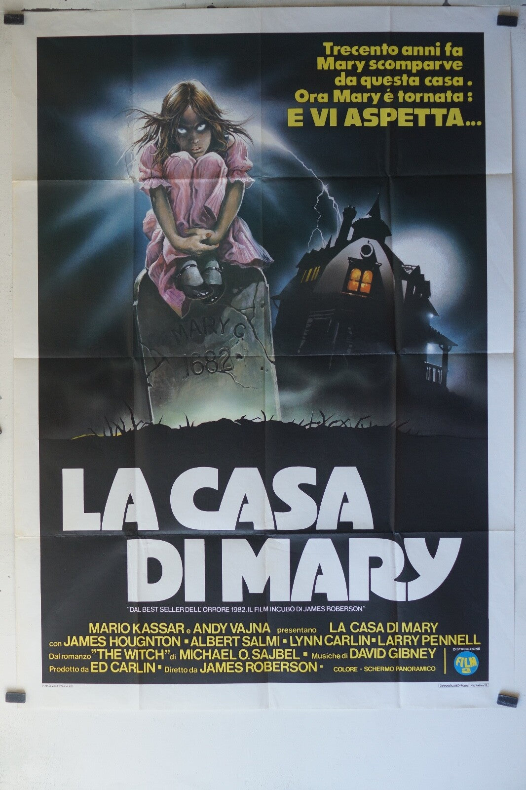 CASA DI MARY MOVIE POSTER ORIGINAL 120x160 Billy Jayne , James Houghton