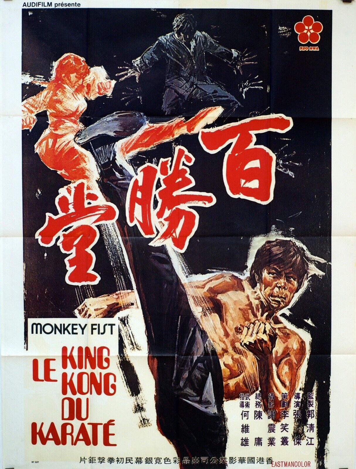 KUNG FU A LA MANIÈRE DE BRUCE LEE, KARATÉ, ORIGINAL MOVIE POSTER 120x160