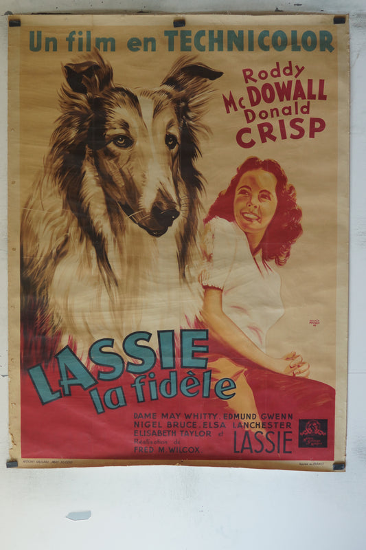 LASSIE, LA FIDÈLE, RODDY MC DOWALL, 120X160, AFFICHE ENTOILÉE.