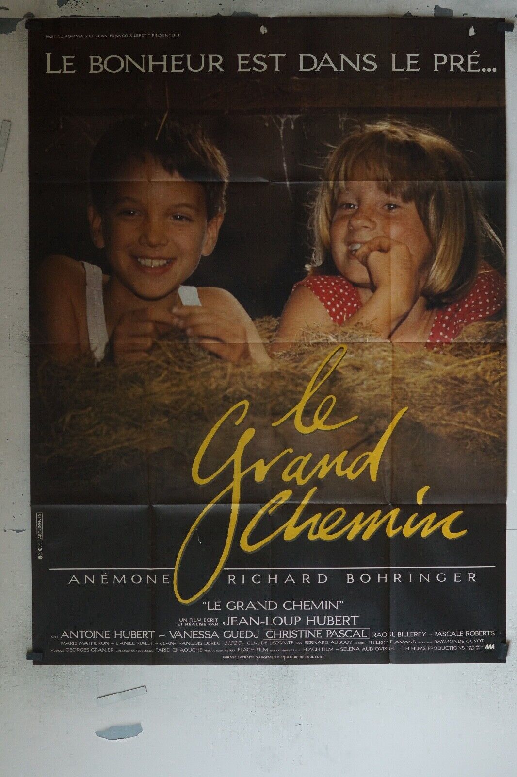 LE GRAND CHEMIN MOVIE POSTER ORIGINAL (120x160) ANÉMONE