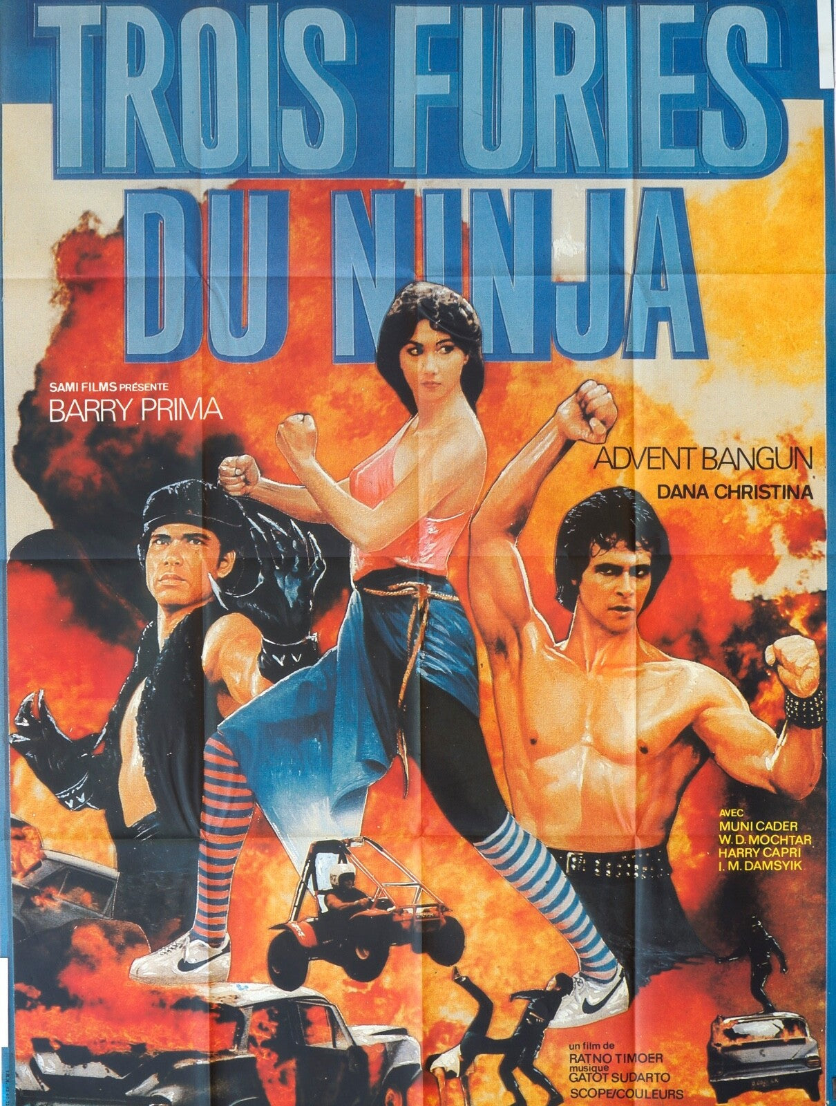TROIS FURIES DU NINJA MOVIE POSTER ORIGINAL 120x160 BARRY PRIMA