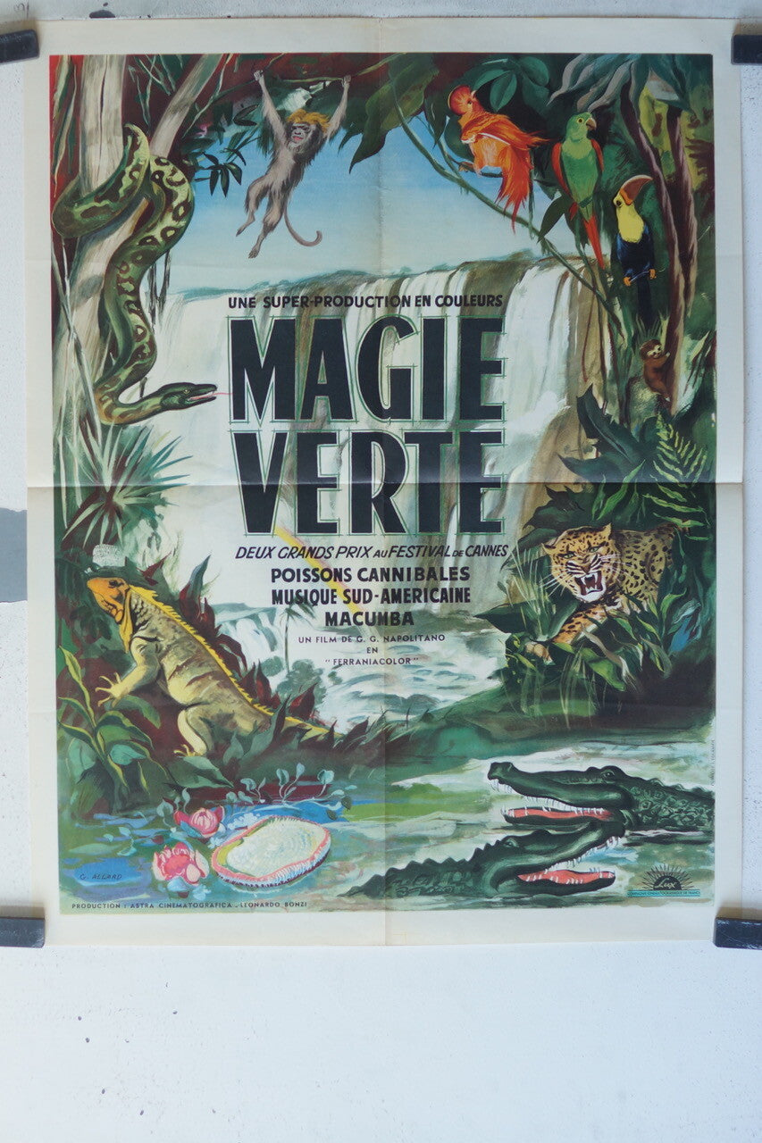MAGIE VERTE MOVIE POSTER ORIGINAL 50x64 Magia verde 
