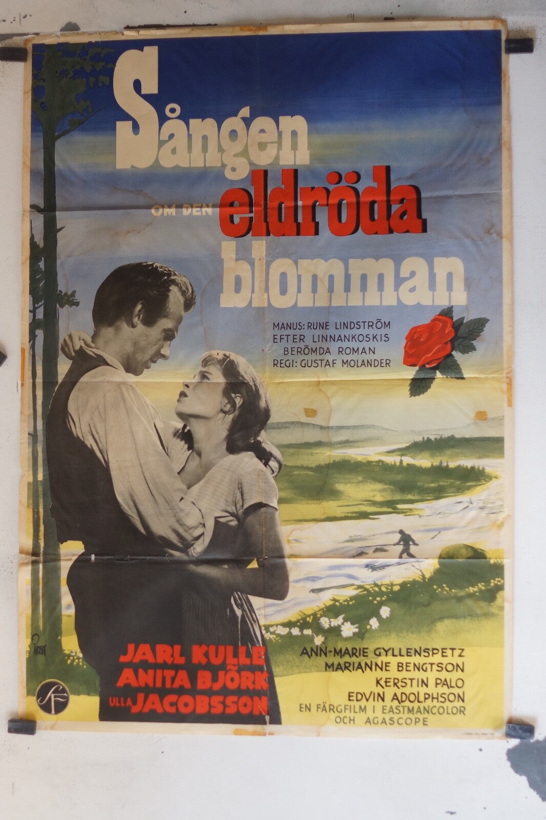 SÅNGEN OM DEN ELDRÖDA 70x100 ORIGINAL MOVIE POSTER JARK KULLE – ANITA BJORK
