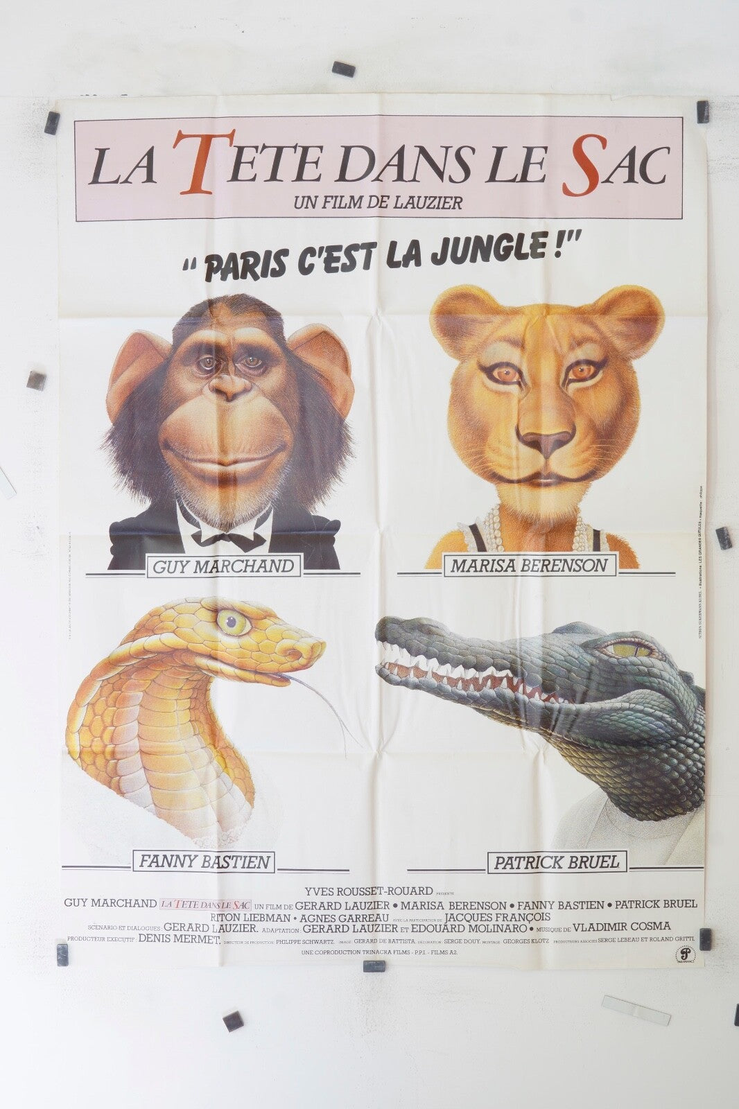 LA TÊTE DANS LE SAC « PARIS C’EST LA JUNGLE FANNY MOVIE POSTER ORIGINAL 120x160