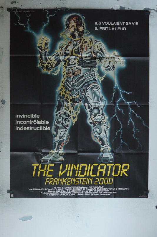 THE VINDICATOR MOVIE POSTER ORIGINAL 120x160 TERRI AUSTIN