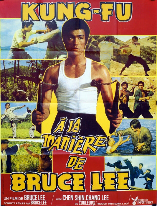 KUNG FU A LA MANIÈRE DE BRUCE LEE, KARATÉ movie poster ORIGINAL (120x160)