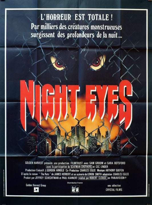 NIGHT EYES ORIGINAL MOVIE POSTER 120x160 SAM GROOM