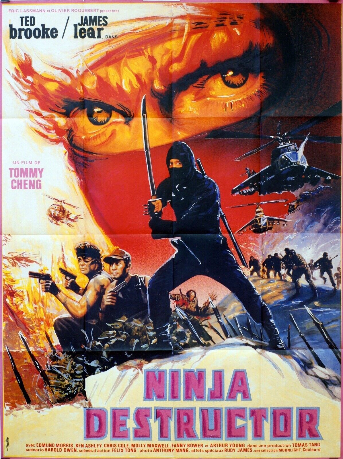 NINJA DESTRUCTOR MOVIE POSTER ORIGINAL 120x160 GILLES SEGAL