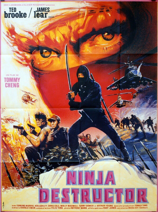 NINJA DESTRUCTOR MOVIE POSTER ORIGINAL 120x160 GILLES SEGAL