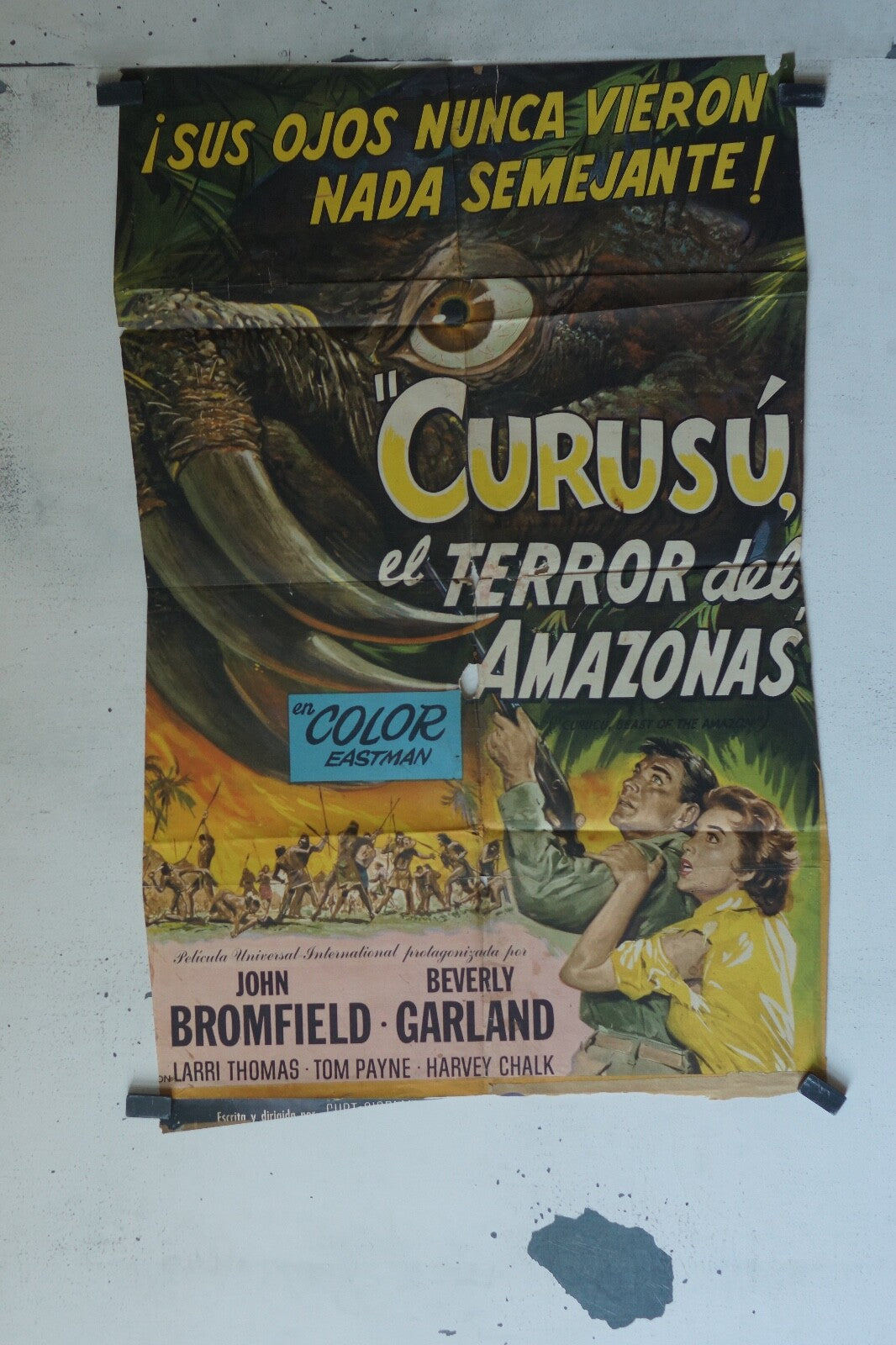 CURUSU EL TERROR DES AMAZONAS (1956 MOVIE POSTER ORIGINAL 60X90 JOHN BROMFIELD