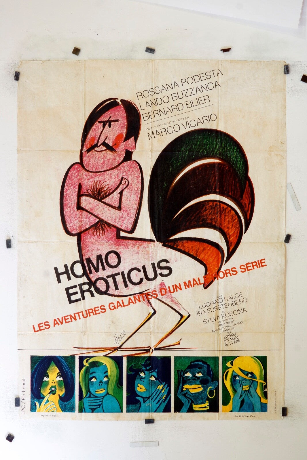 HOMO EROTICUS ROSSANA PODESTA MOVIE POSTER ORIGINAL 120x160