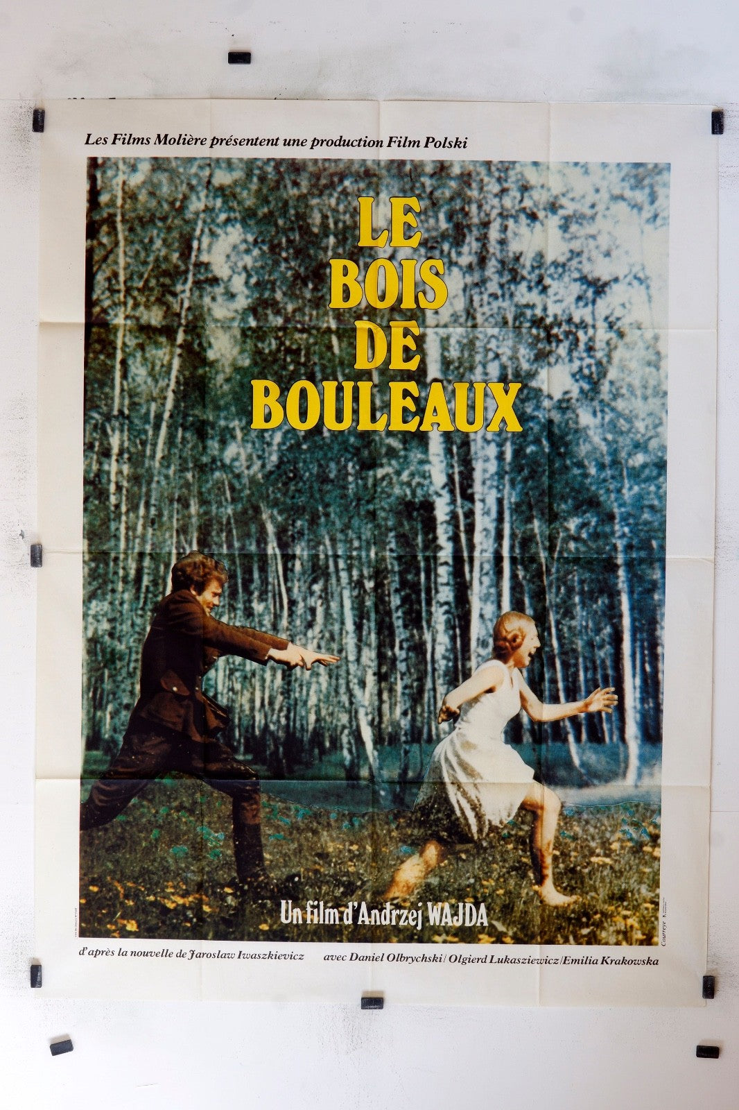 LE BOIS DE BOULEAUX ANDREZEJ WAJDA ORIGINAL MOVIE POSTER 120x160