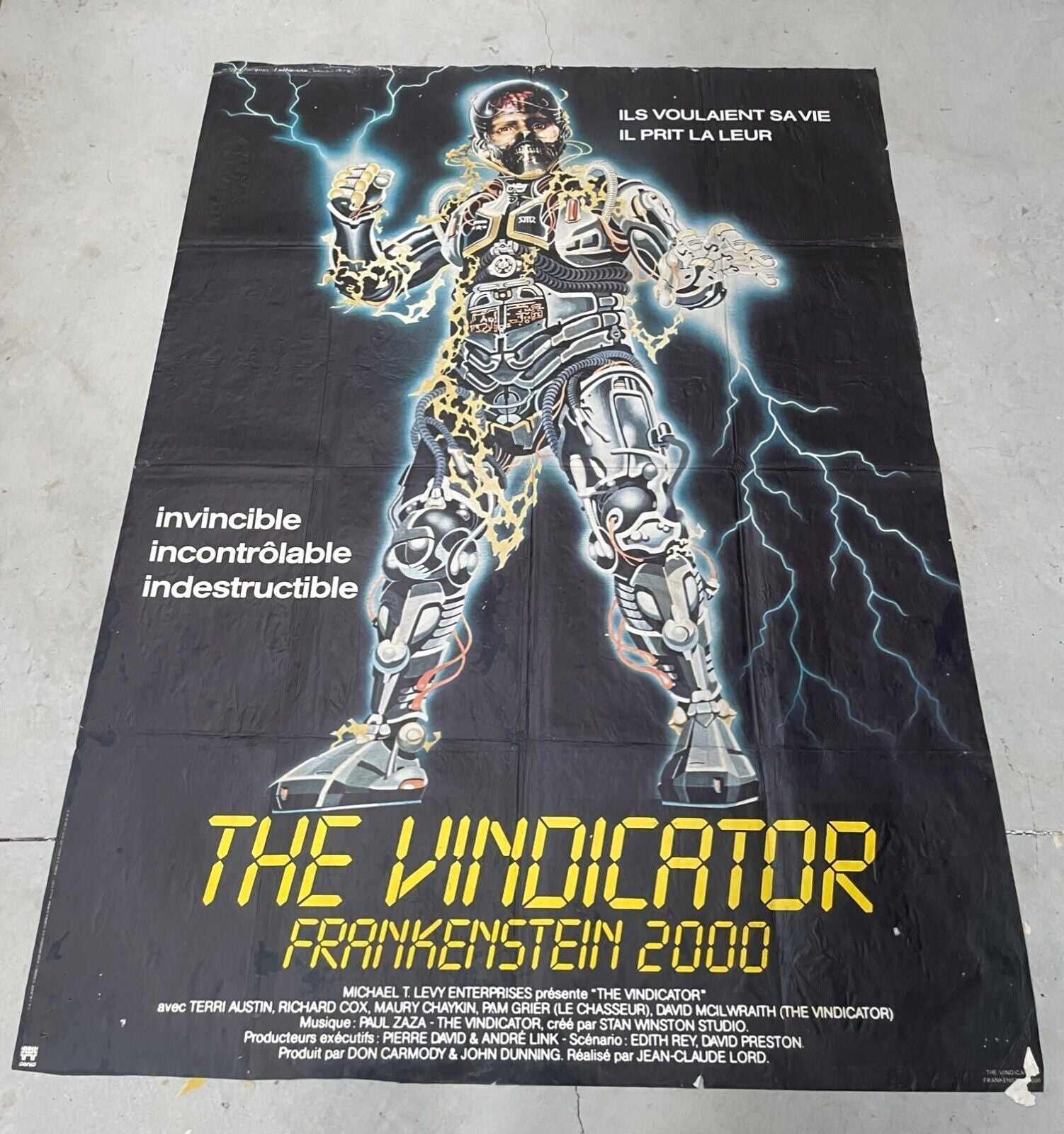 THE VINDICATOR MOVIE POSTER ORIGINAL 120x160 TERRI AUSTIN