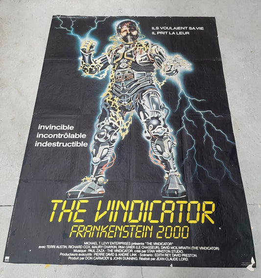 THE VINDICATOR MOVIE POSTER ORIGINAL 120x160 TERRI AUSTIN