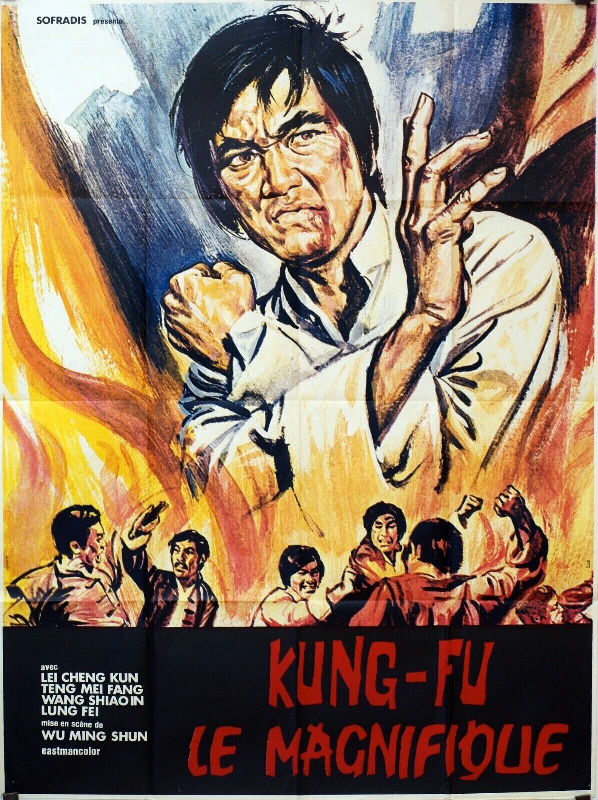KUNG FU le magnifique - KARATÉ- MOVIE POSTER 120X160)