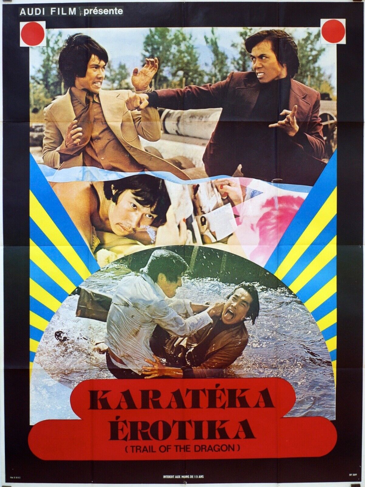 KARATÉKA ÉROTIKA ORIGINAL MOVIE POSTER 120X160 JAMES BROLIN
