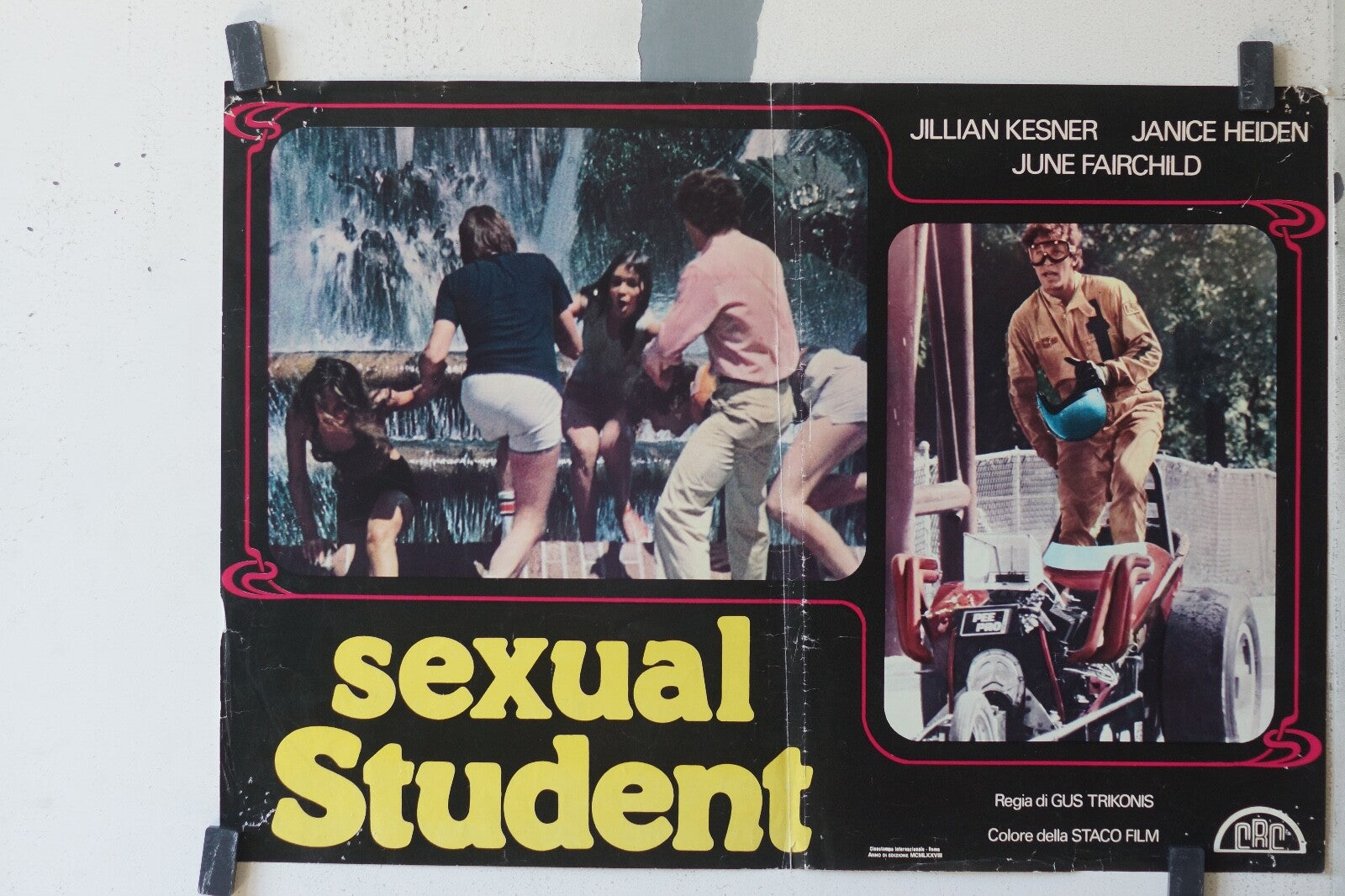 SEXUAL STUDENT ORIGINAL MOVIE POSTER 47X66 Jullian Kesner, Janice Heiden