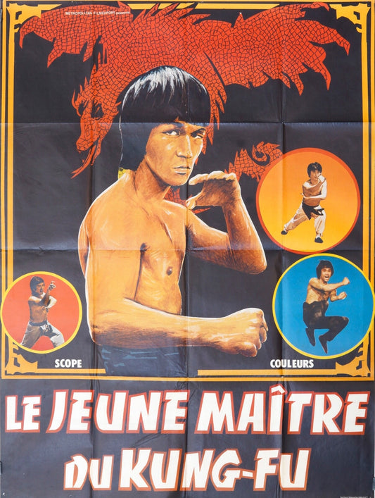 LE JEUNE MAÎTRE DU KUNG-FU MOVIE POSTER ORIGINAL (120X160)