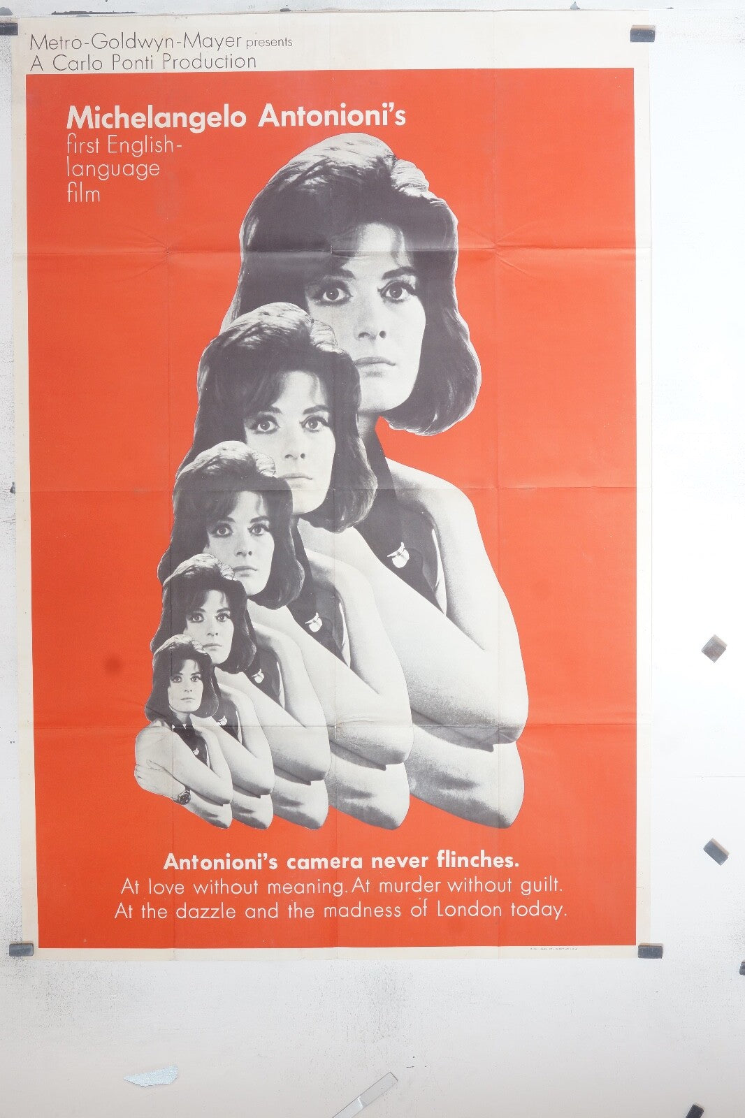 BLOW-UP MICHELANGELO ANTONIONI 120x160 