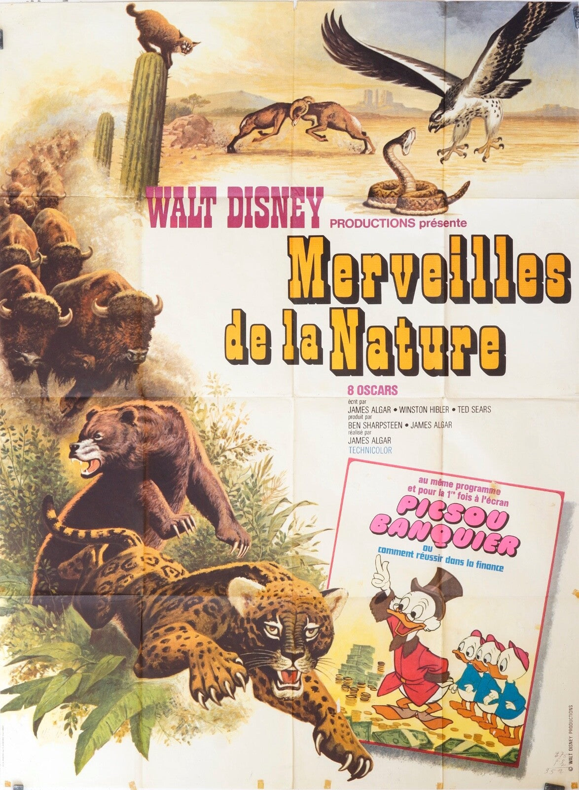 MERVEILLE DE LA NATURE WALT DISNEY MOVIE POSTER ORIGINAL 120x160