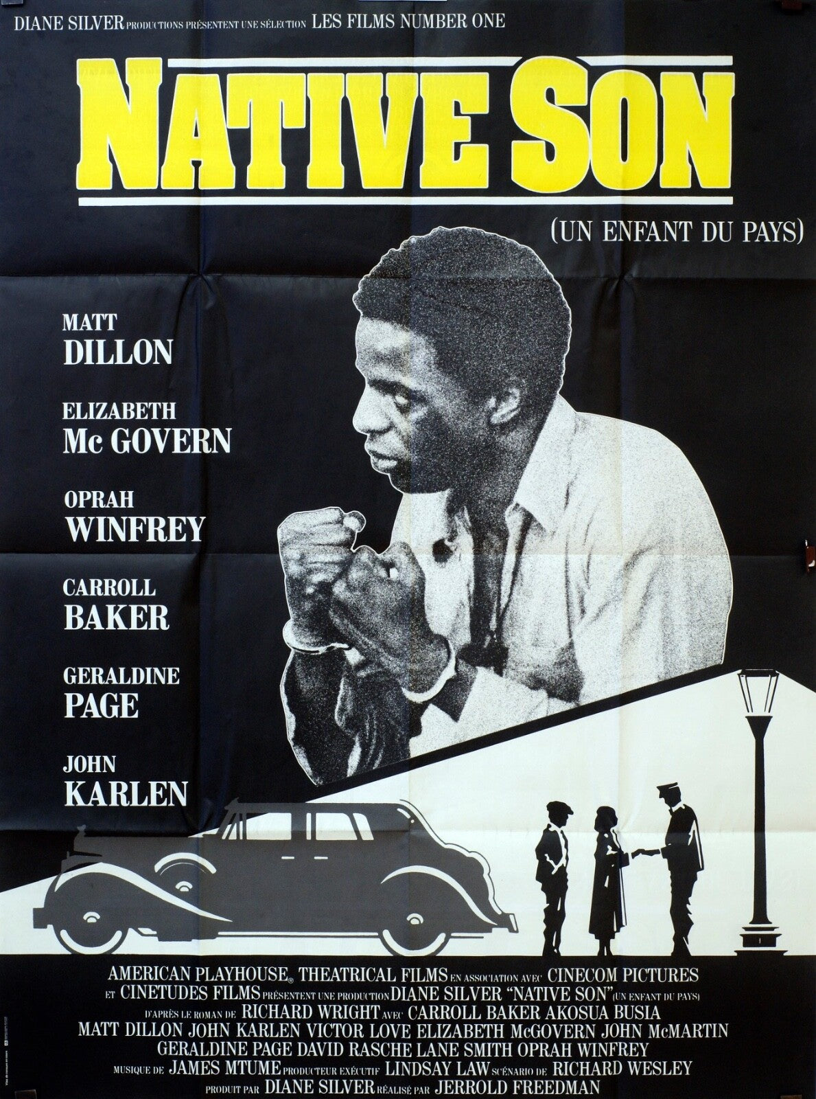 NATIVE SON MOVIE POSTER ORIGINAL120x160 MATT DILLON