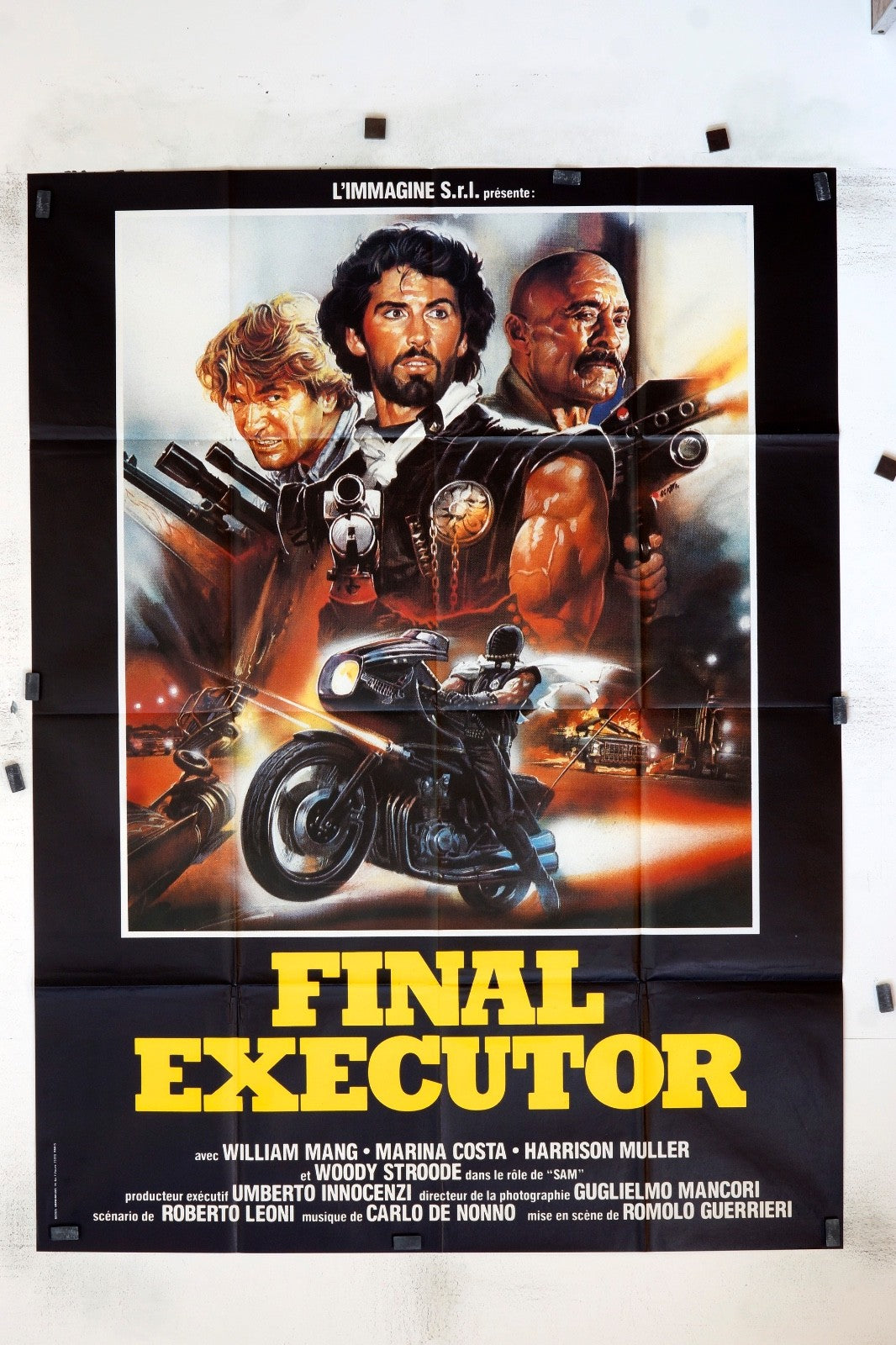 FINAL EXECUTOR WILLIAM MANG ORIGINAL MOVIE POSTER 120x160