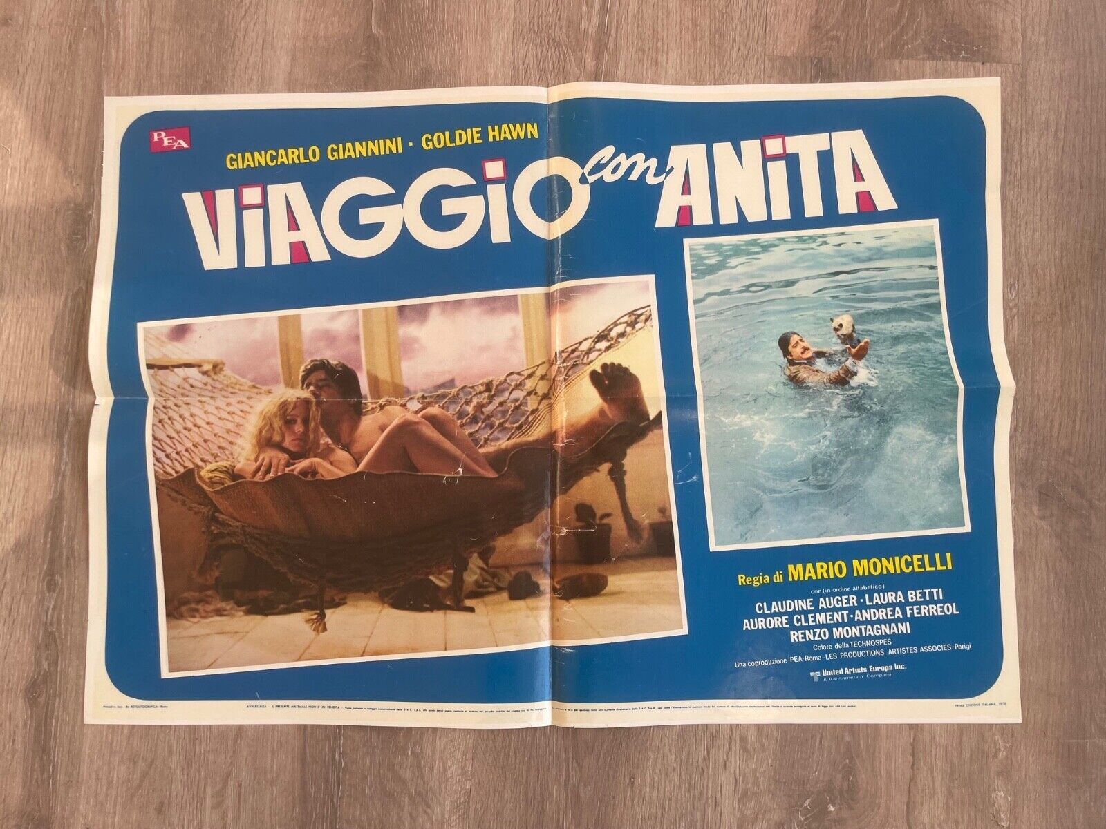 VOYAGE AVEC ANITA MOVIE POSTER 67X47