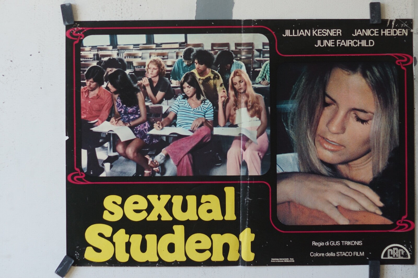 SEXUAL STUDENT ORIGINAL MOVIE POSTER 47X66 Jullian Kesner, Janice Heiden